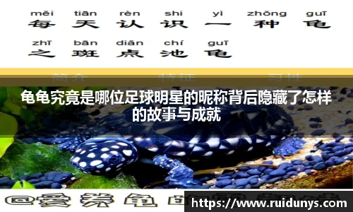 龟龟究竟是哪位足球明星的昵称背后隐藏了怎样的故事与成就